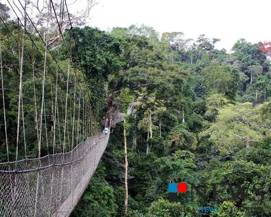 National parks National parks