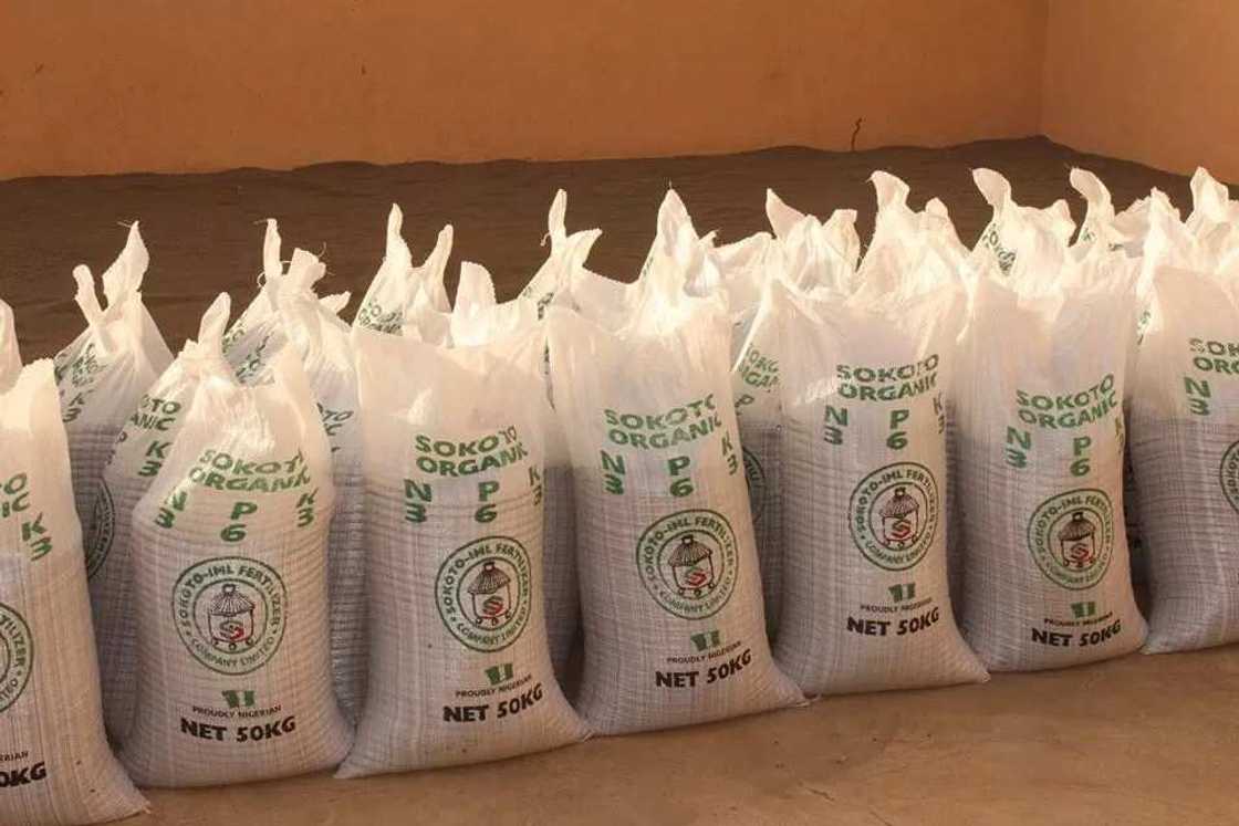 Ayyukan 10 da gwamnatin Sakwato ta kaddamar a ranar demokradiyya (Hotuna) Ayyukan 10 da gwamnatin Sakwato ta kaddamar a ranar demokradiyya (Hotuna)