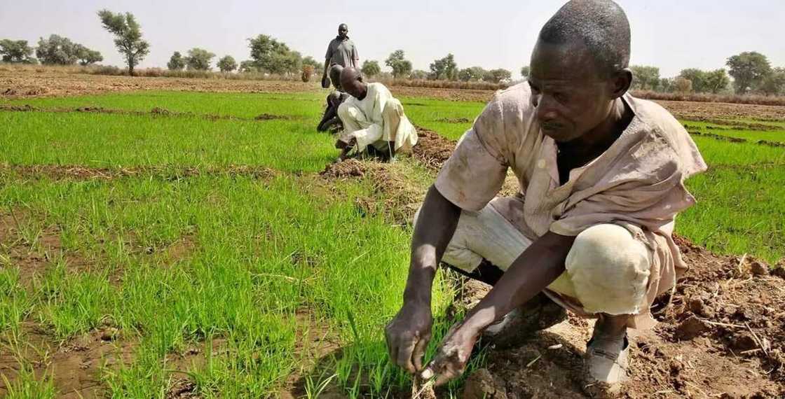 What is the implication of Land Use Act? What is the implication of Land Use Act?