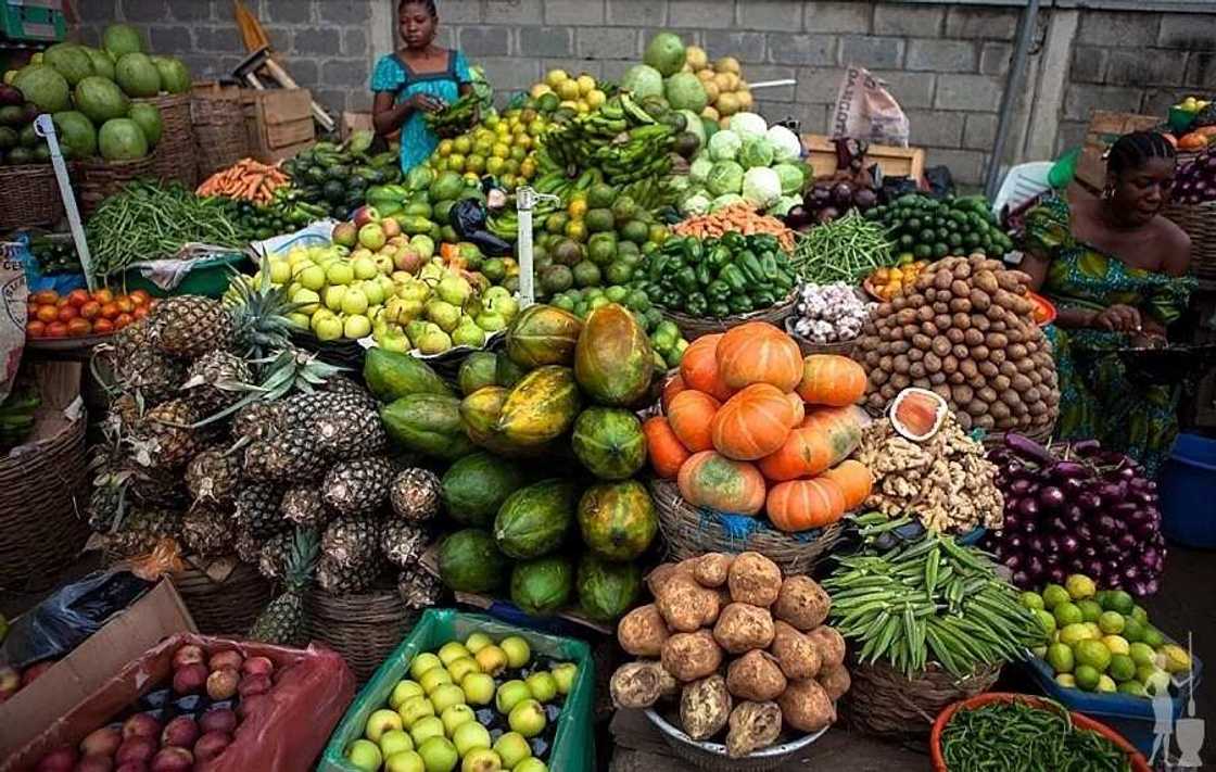 food safety and sanitation food safety and sanitation