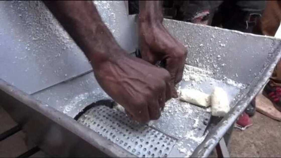 Cassava production