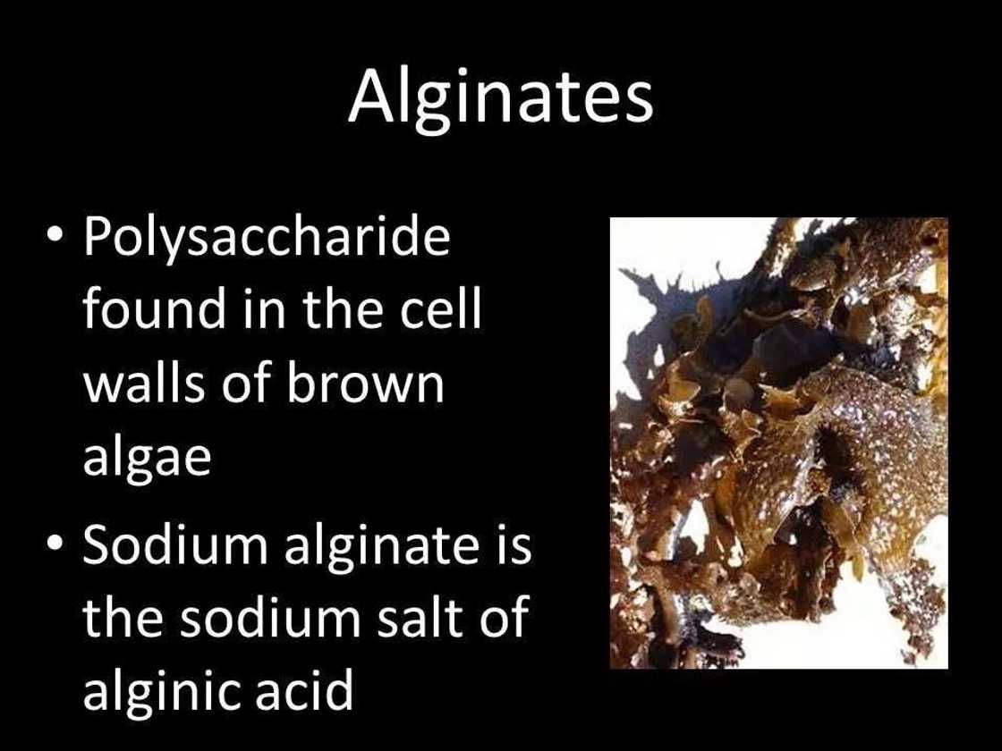 Algin and Alginic acid