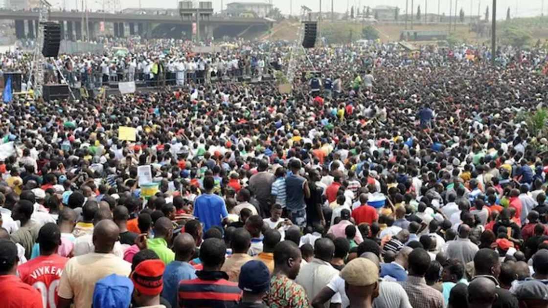 Nigerian people Nigerian people