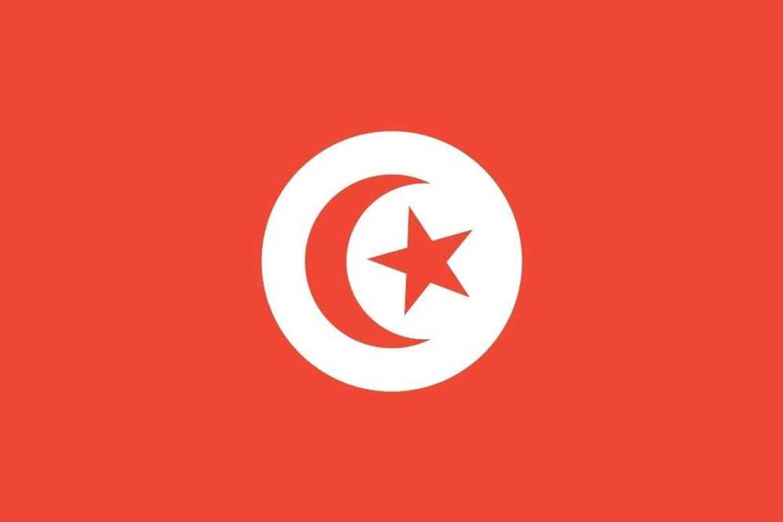 Flag of Tunisia