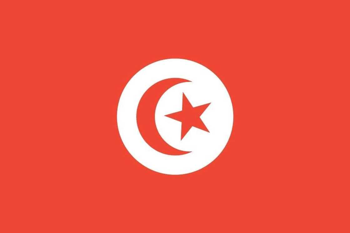 Flag of Tunisia Flag of Tunisia