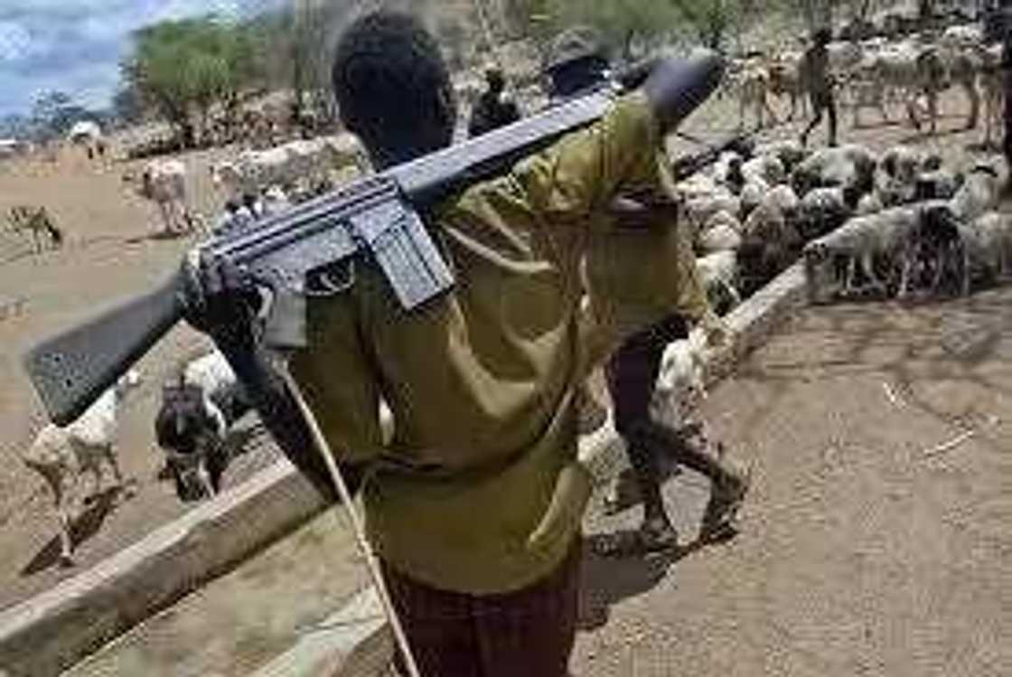 Shugaban Fulani ya mika makamansa ga sojoji a Zamfara Shugaban Fulani ya mika makamansa ga sojoji a Zamfara