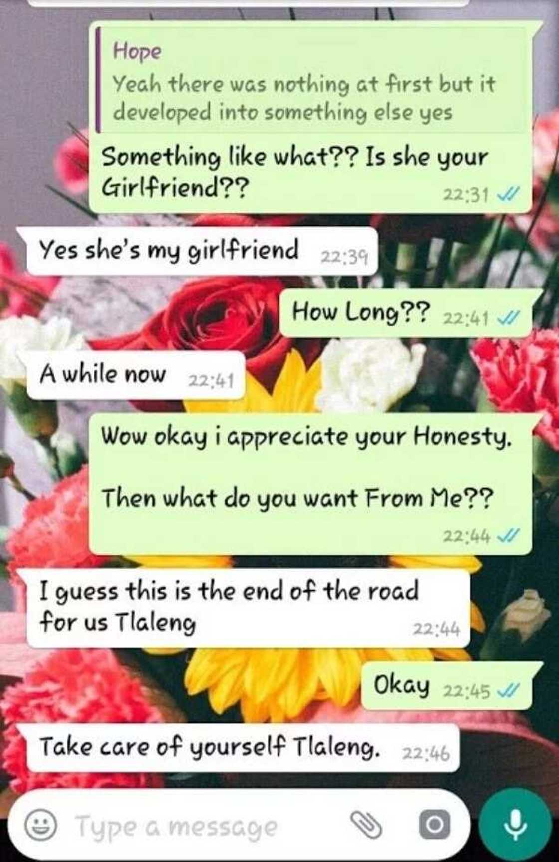Lady shares message of how her boyfriend broke up with her on WhatsApp (photos)