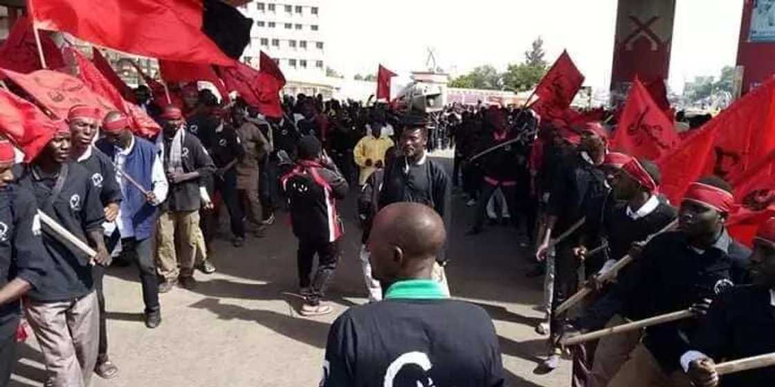 Cikin Hotuna: Tattakin da Kungiyar Shi'a ta fara gudanarwa a jihar Kano Cikin Hotuna: Tattakin da Kungiyar Shi'a ta fara gudanarwa a jihar Kano