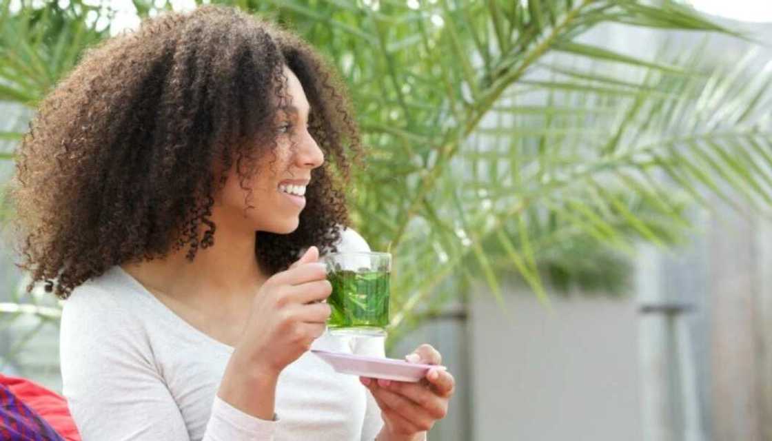Soursop leaf tea for weight loss Soursop leaf tea for weight loss