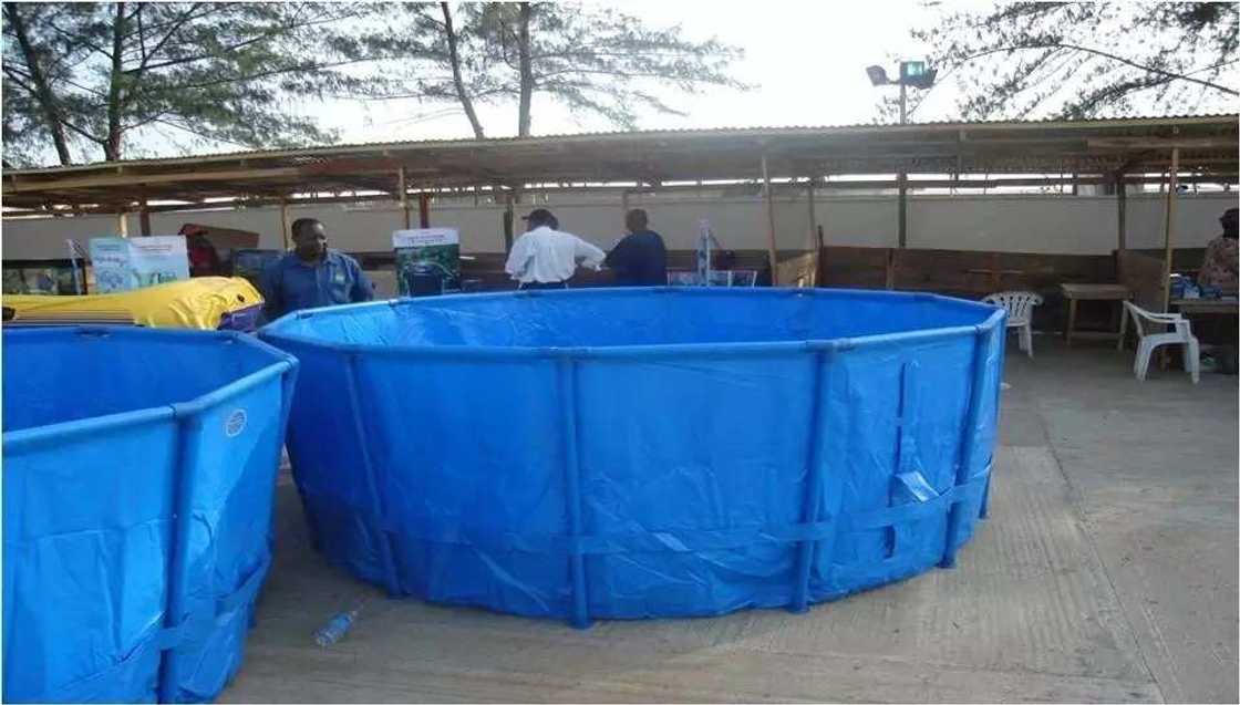 Catfish farming plastic tanks Catfish farming plastic tanks