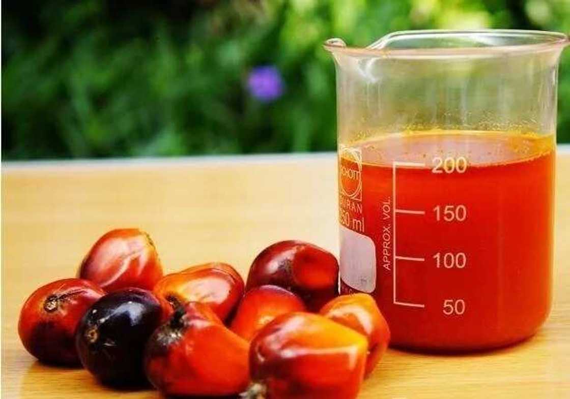 Companies that buy palm oil in Nigeria Companies that buy palm oil in Nigeria