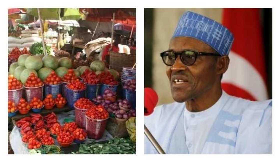The Market Growth Index grew to 58.5 in April as the monthly Sales Growth Index ticked up to 56.7, its highest value since 2015 and representative of rapid growth The Market Growth Index grew to 58.5 in April as the monthly Sales Growth Index ticked up to 56.7, its highest value since 2015 and representative of rapid growth