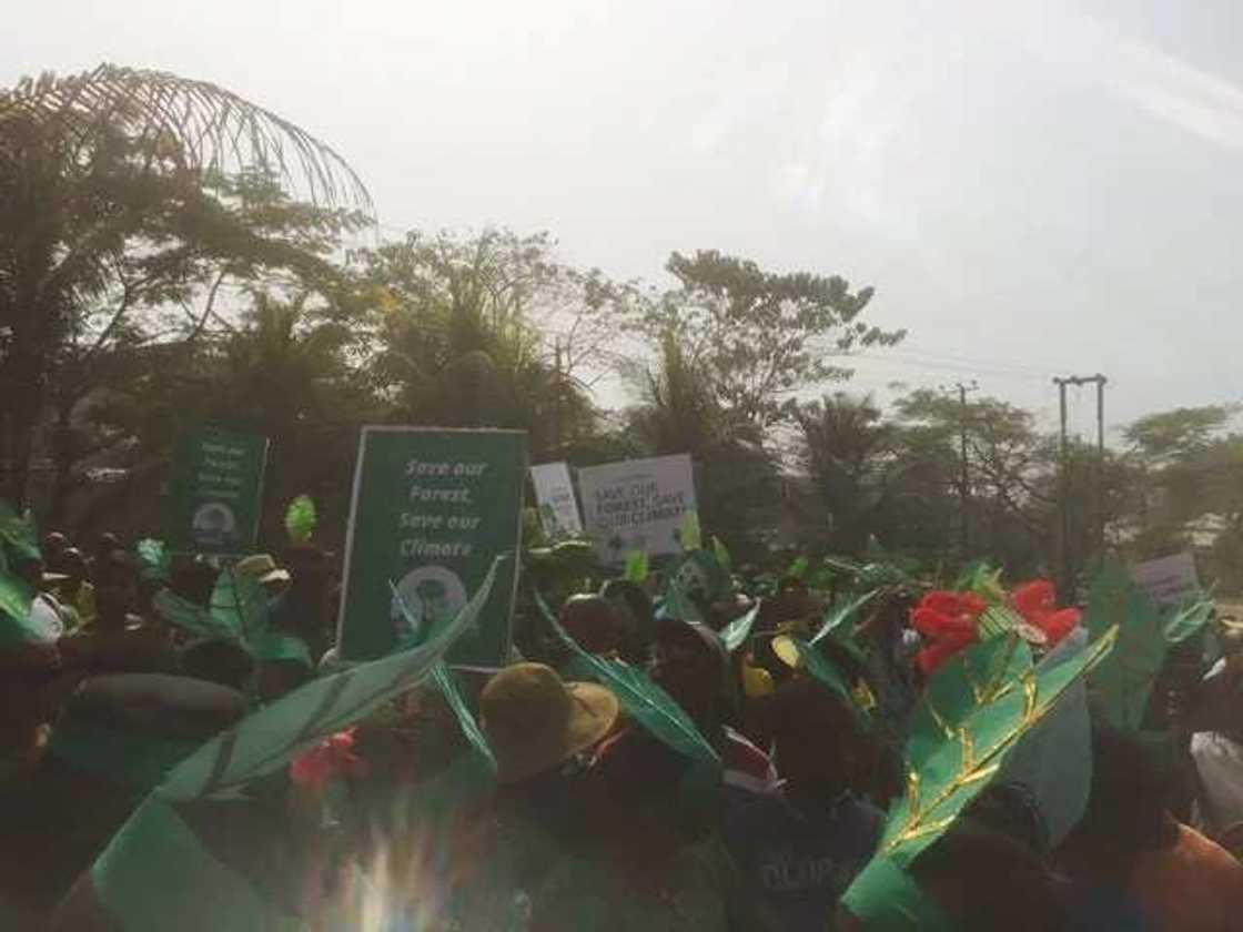 Amaechi Takes Part In 'Plant a Tree' March (PHOTOS)