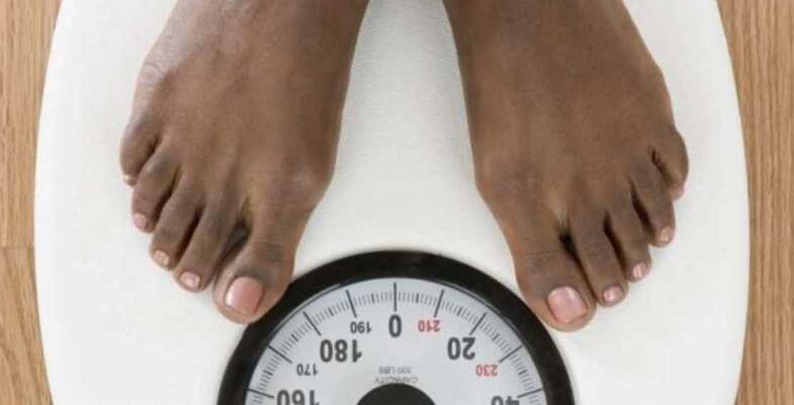 weight loss meal plan weight loss meal plan