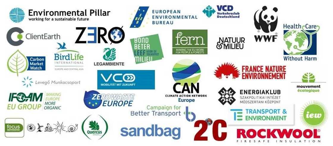 international NGOs international NGOs