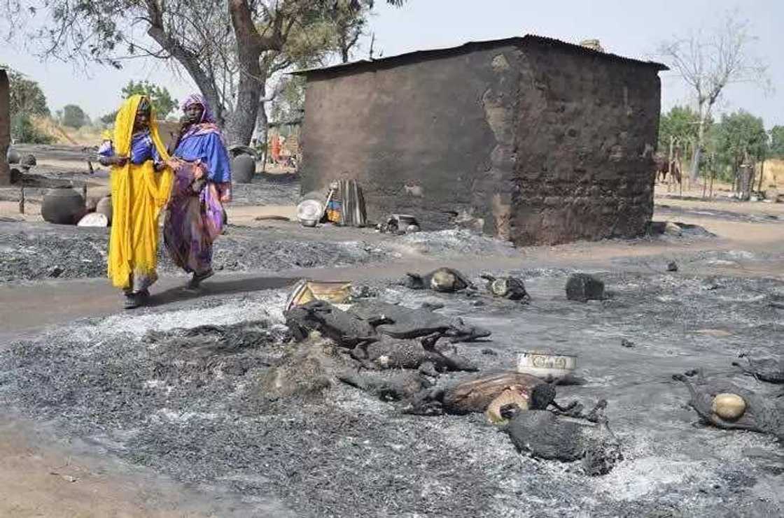 Boko Haram terrorists attack Borno village kill 3 Boko Haram terrorists attack Borno village kill 3