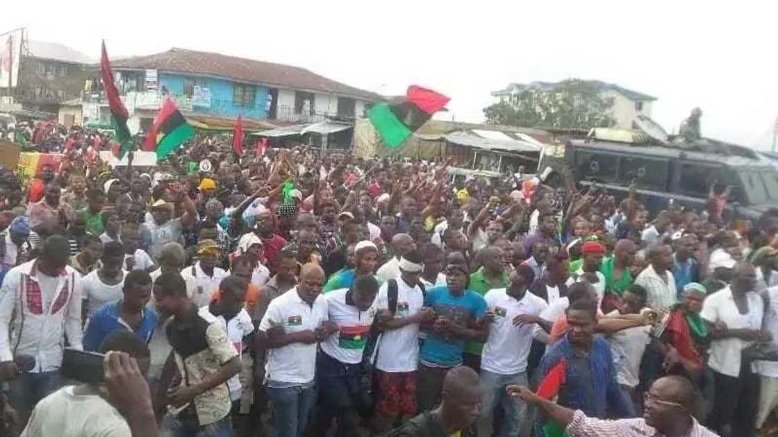 BREAKING: Southern Cameroon joins Biafra, pledges support for IPOB BREAKING: Southern Cameroon joins Biafra, pledges support for IPOB