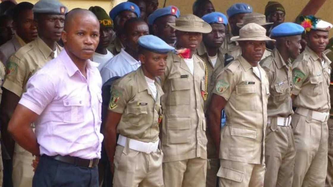 Peace Corps: Senior lawyer petitions AGF, insists Police must obey court order Peace Corps: Senior lawyer petitions AGF, insists Police must obey court order