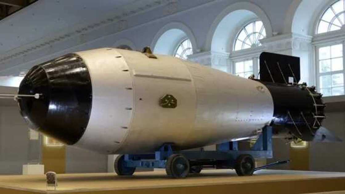 Makamin kare dangi Makamin kare dangi