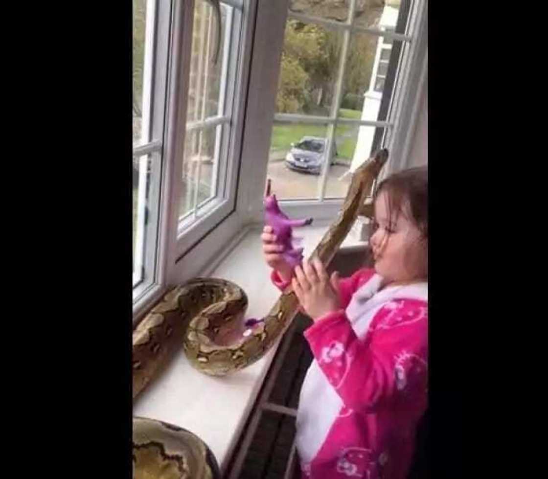 Wata yarinya taga katuwar machijiya sai tayi mata wannan abu Wata yarinya taga katuwar machijiya sai tayi mata wannan abu