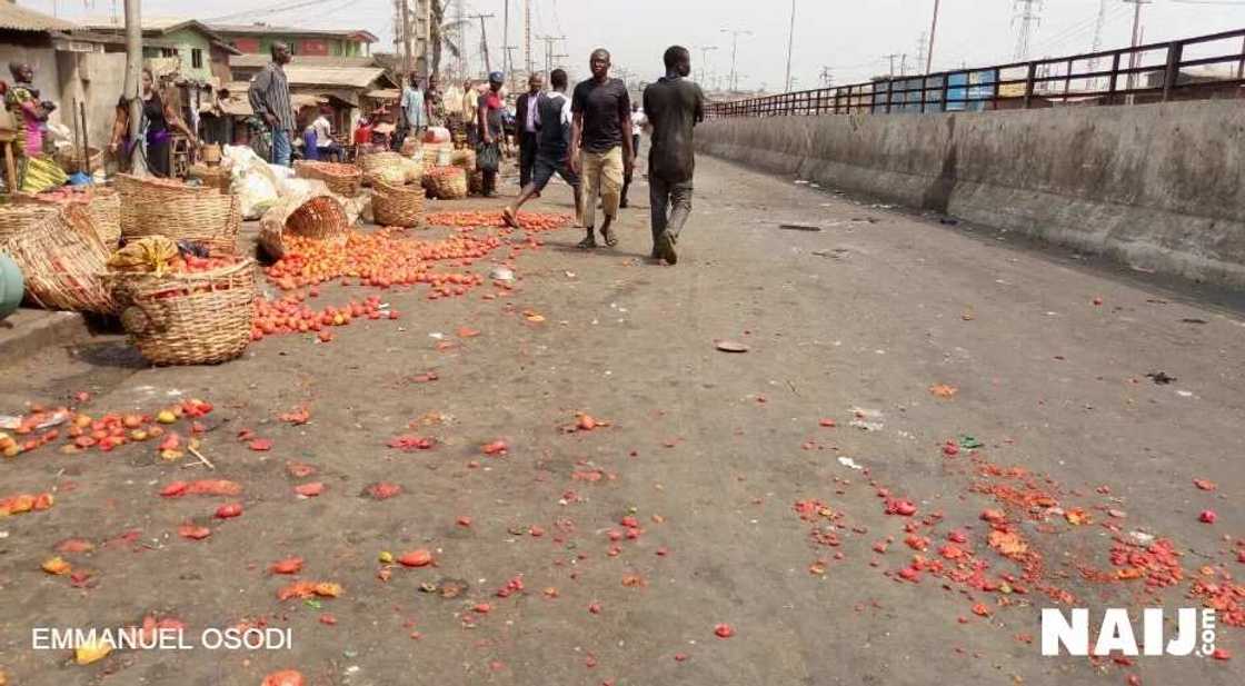 Photonews: Five major highpoints of the Mile 12 riot Photonews: Five major highpoints of the Mile 12 riot