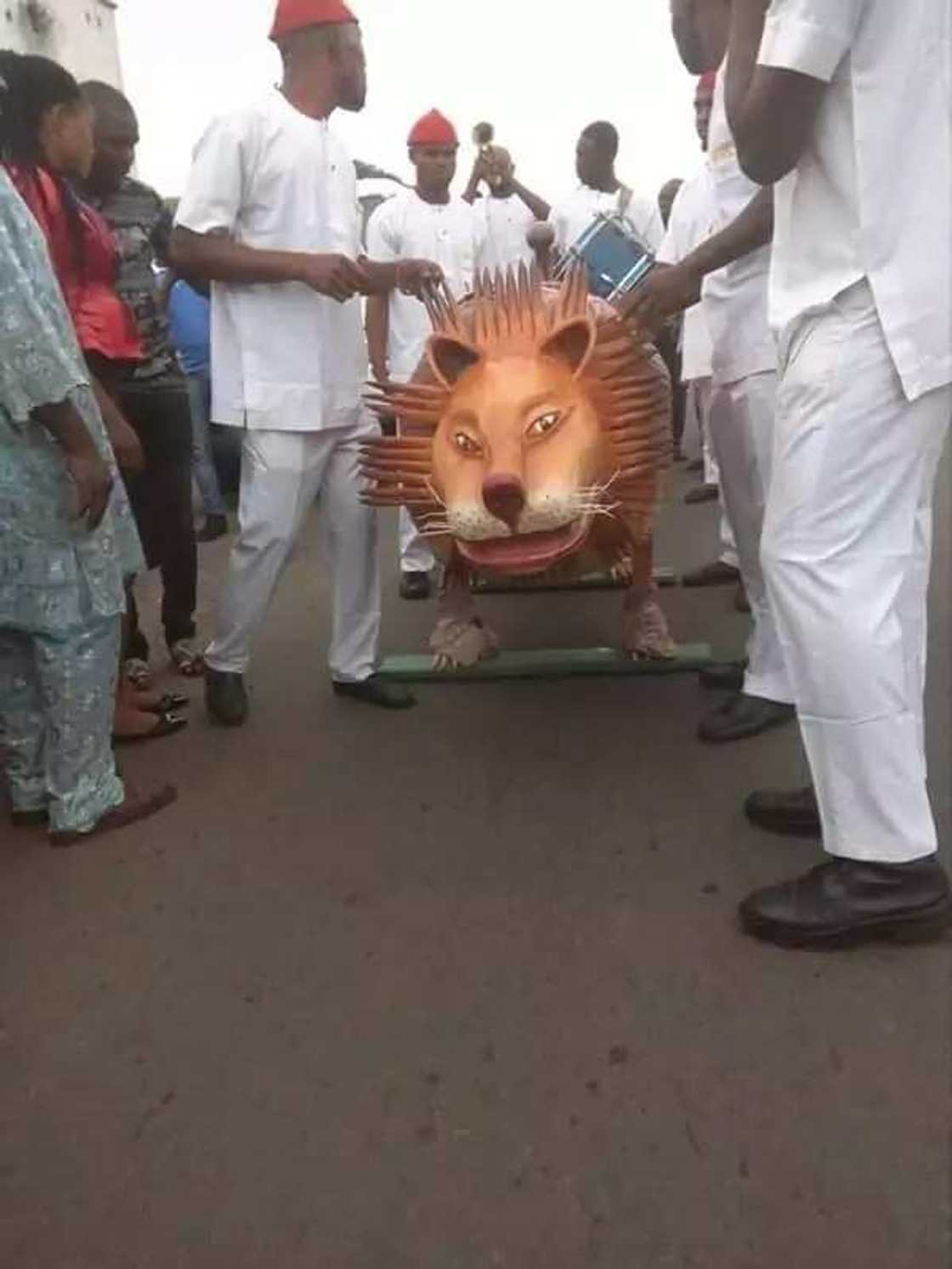 Rich man buried in a lion-like coffin in Enugu (photos) Rich man buried in a lion-like coffin in Enugu (photos)