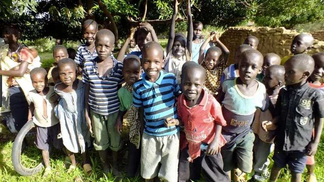 Importance of social studies in primary school Importance of social studies in primary school