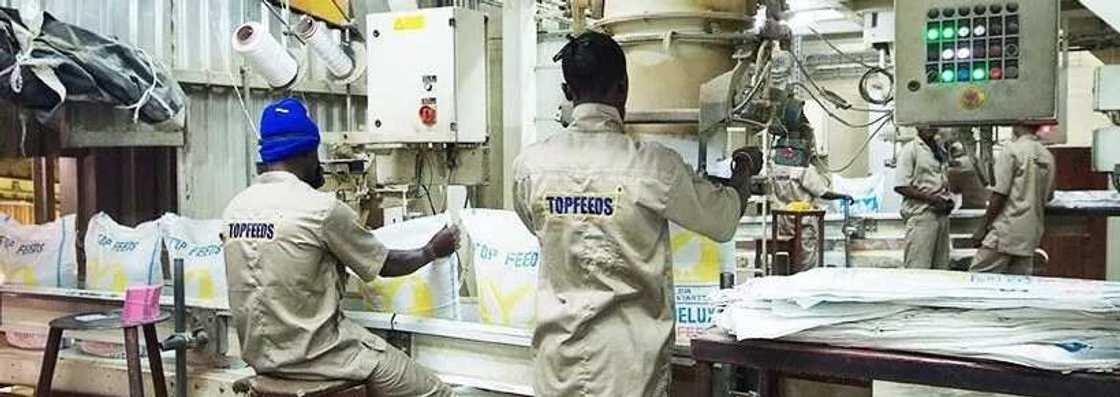 Top feed distributors in Nigeria Top feed distributors in Nigeria