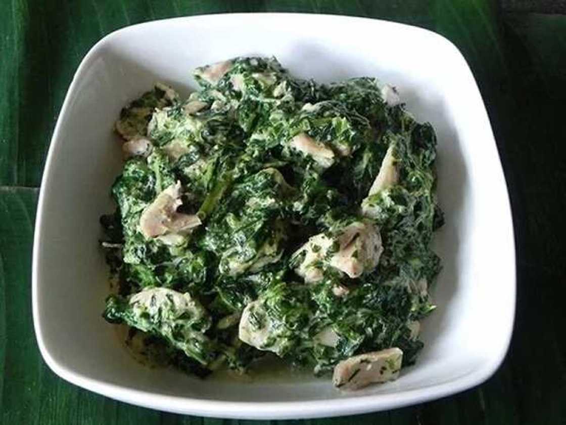 Health benefits of cocoyam leaves Health benefits of cocoyam leaves