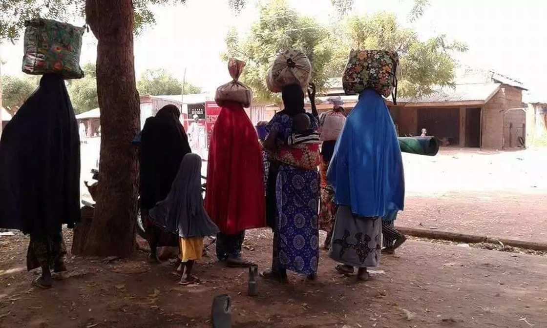 Barayin shanu na ci gaba da tarwatsa mutane a kauyukan Zamfara Barayin shanu na ci gaba da tarwatsa mutane a kauyukan Zamfara