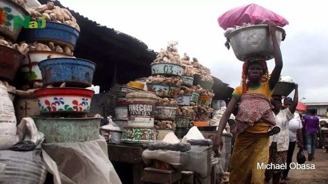 Mile 12 Market At A Glance Mile 12 Market At A Glance