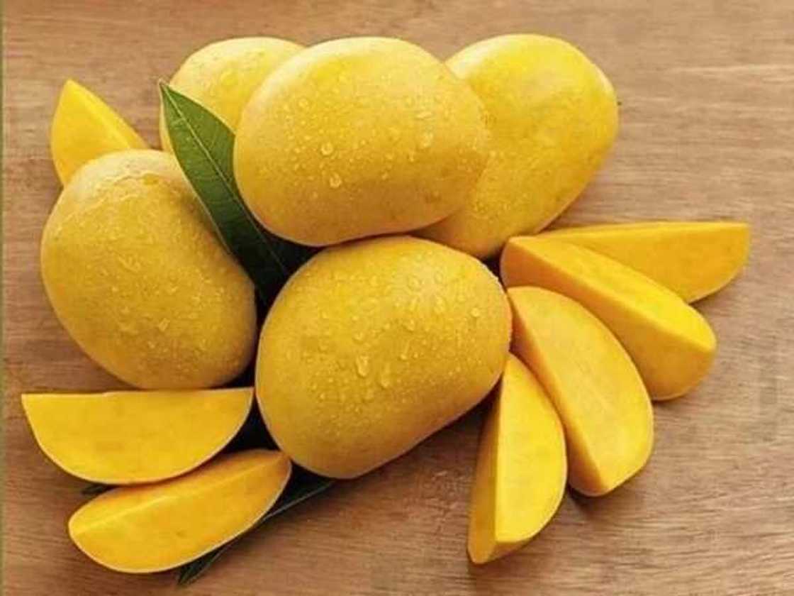 yellow mango