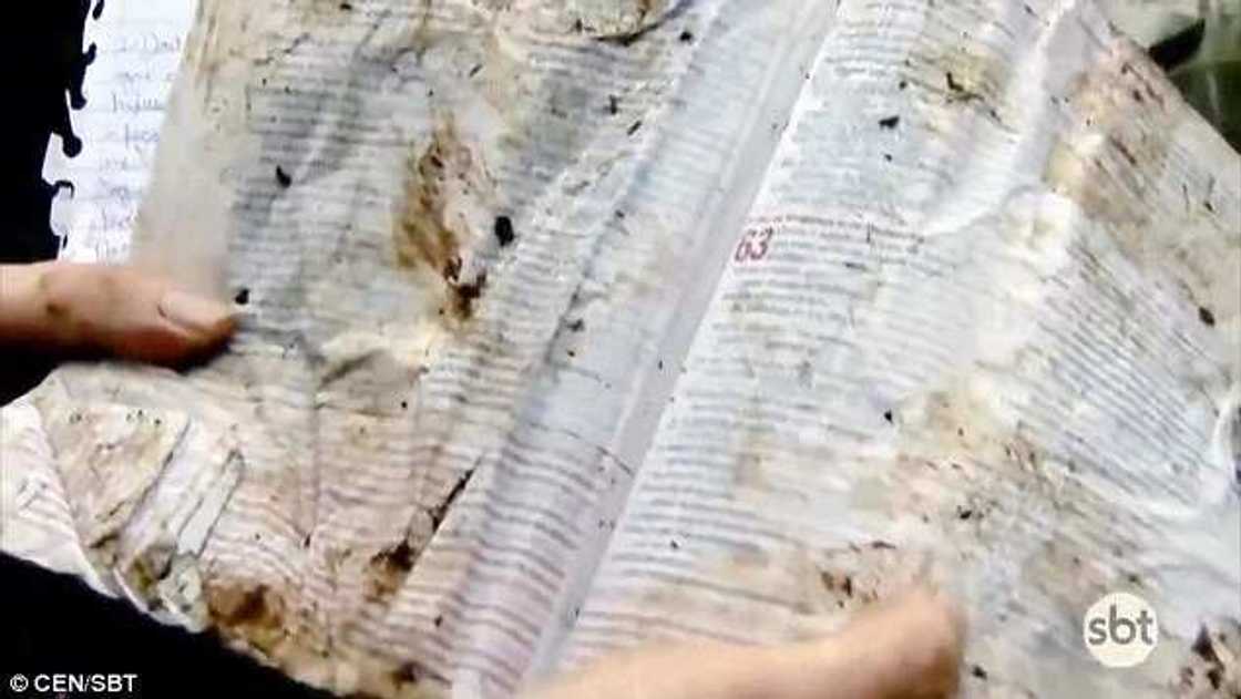 Footballer who survived Colombian plane tragedy was reading Bible passage about being safe Footballer who survived Colombian plane tragedy was reading Bible passage about being safe