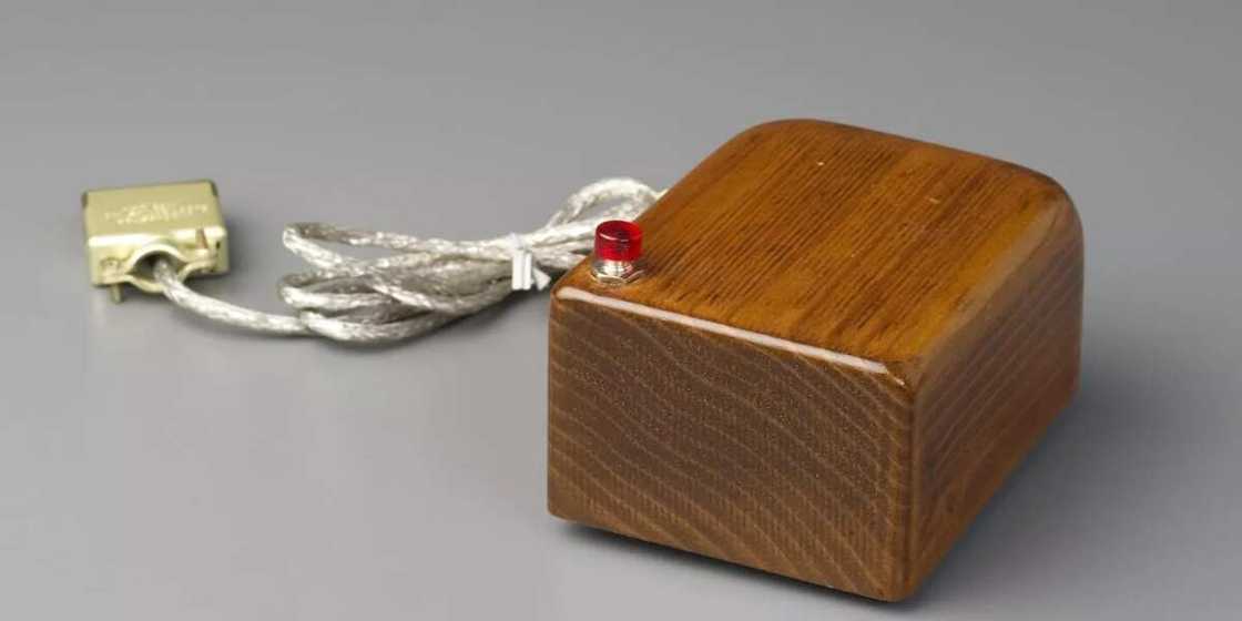 The First Computer Mouse