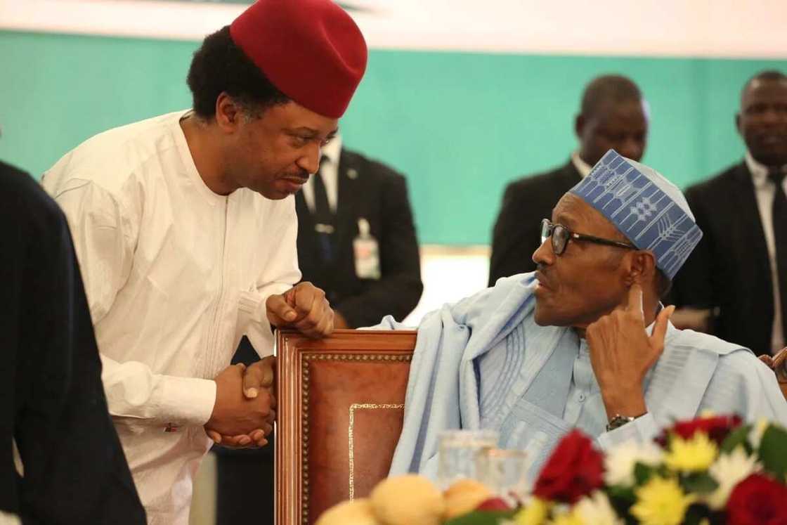 Ya kamata Buhari ya ba iyalan Yar’adua da sauransu hakuri – Shehu Sani Ya kamata Buhari ya ba iyalan Yar’adua da sauransu hakuri – Shehu Sani