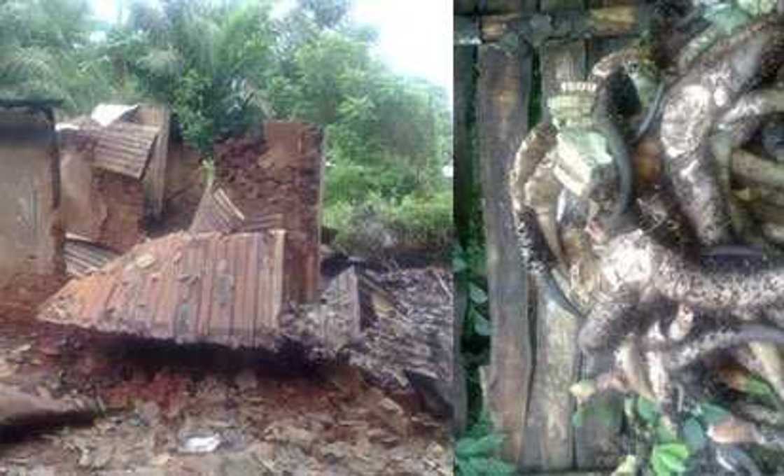 Police Discover Ritual Den, Arrest Five In Ondo Police Discover Ritual Den, Arrest Five In Ondo