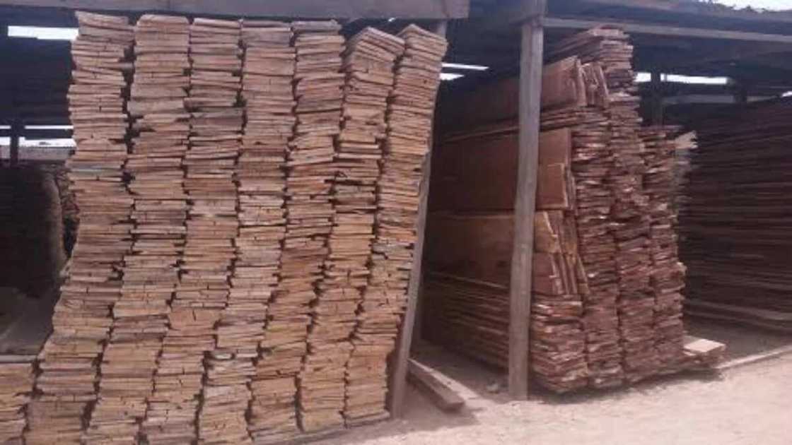 'Katsina's Igbo timber shade market' 'Katsina's Igbo timber shade market'
