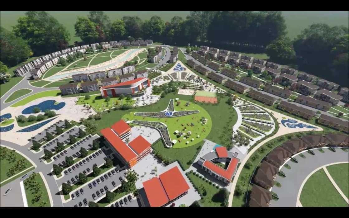 Canaancity Canaancity