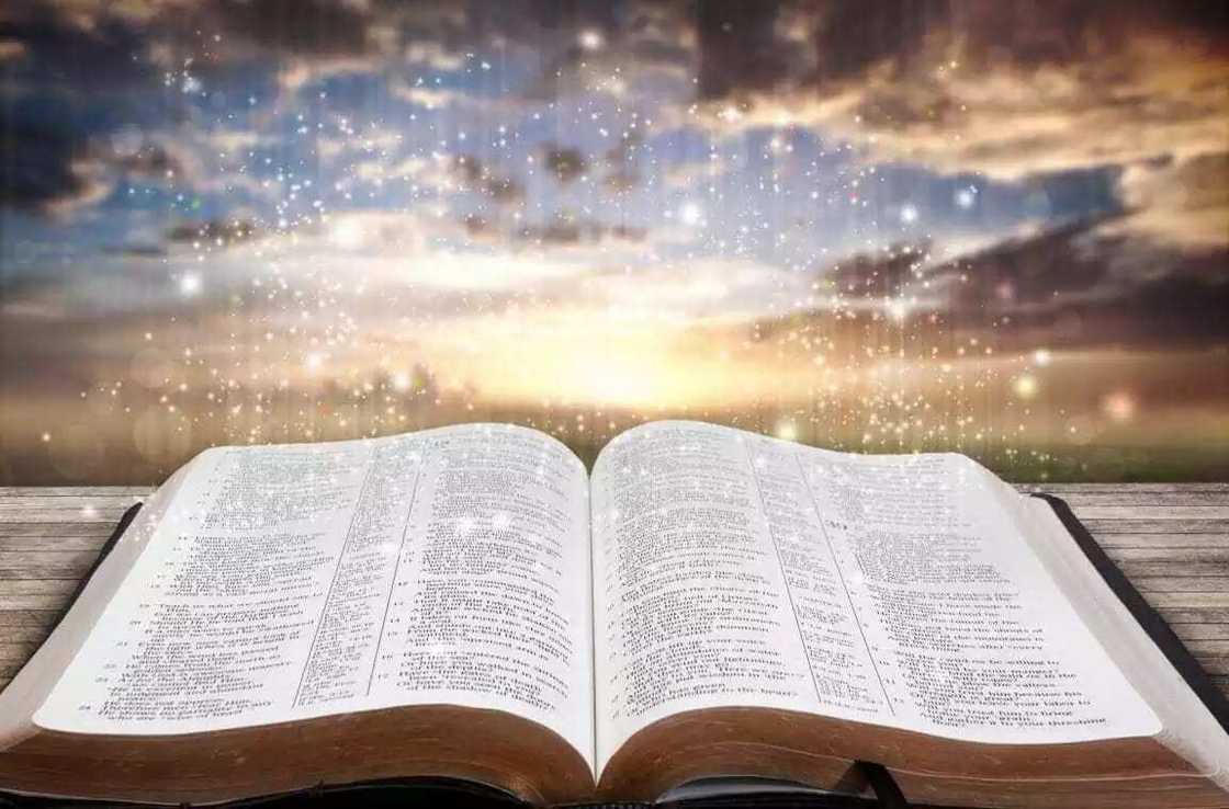 Wisdom from the Bible Wisdom from the Bible