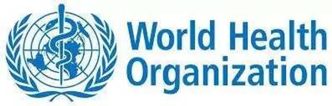 Zakaci iya cin kazar da aka kiwata a dakin gwaje-gwaje na kimiyya Zakaci iya cin kazar da aka kiwata a dakin gwaje-gwaje na kimiyya