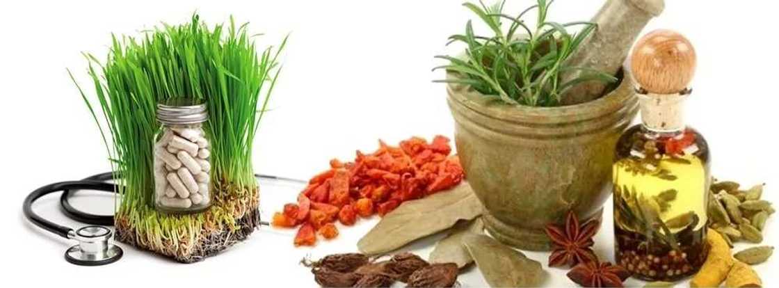 Yoruba herbs Yoruba herbs