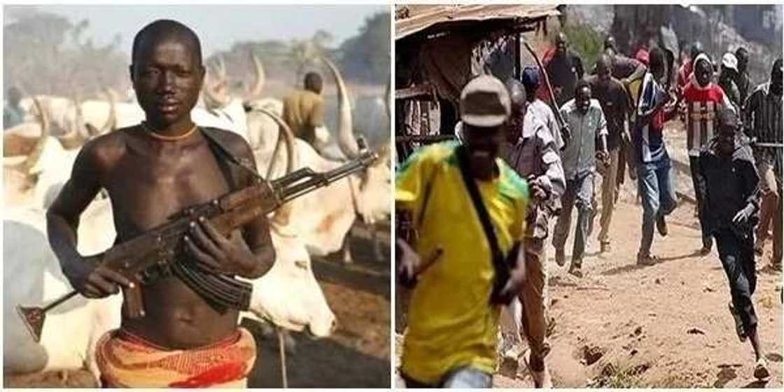 Mazauna Jalingo sun shiga tashin hankali kan barazanar makiyaya na kai hari garin Mazauna Jalingo sun shiga tashin hankali kan barazanar makiyaya na kai hari garin