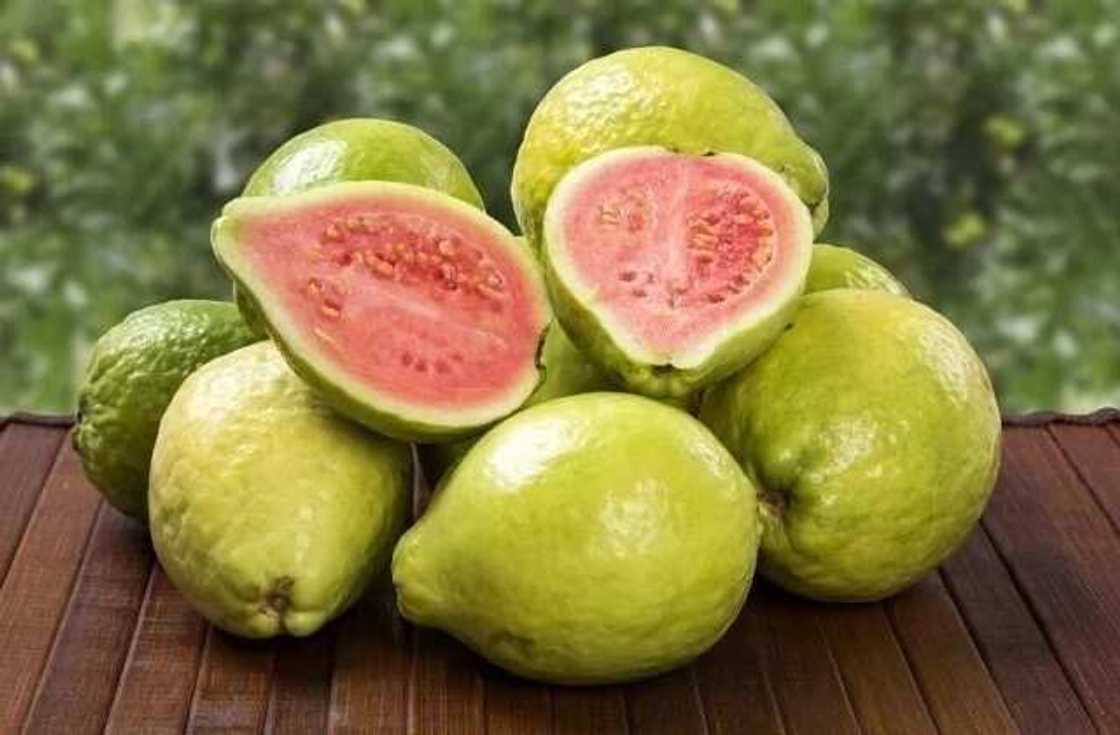 Guava fruit Guava fruit