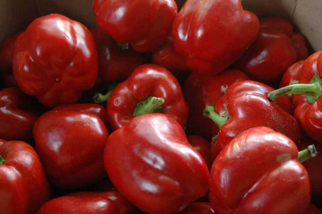 7 basic things you should know before marrying a Yoruba girl 7 basic things you should know before marrying a Yoruba girl