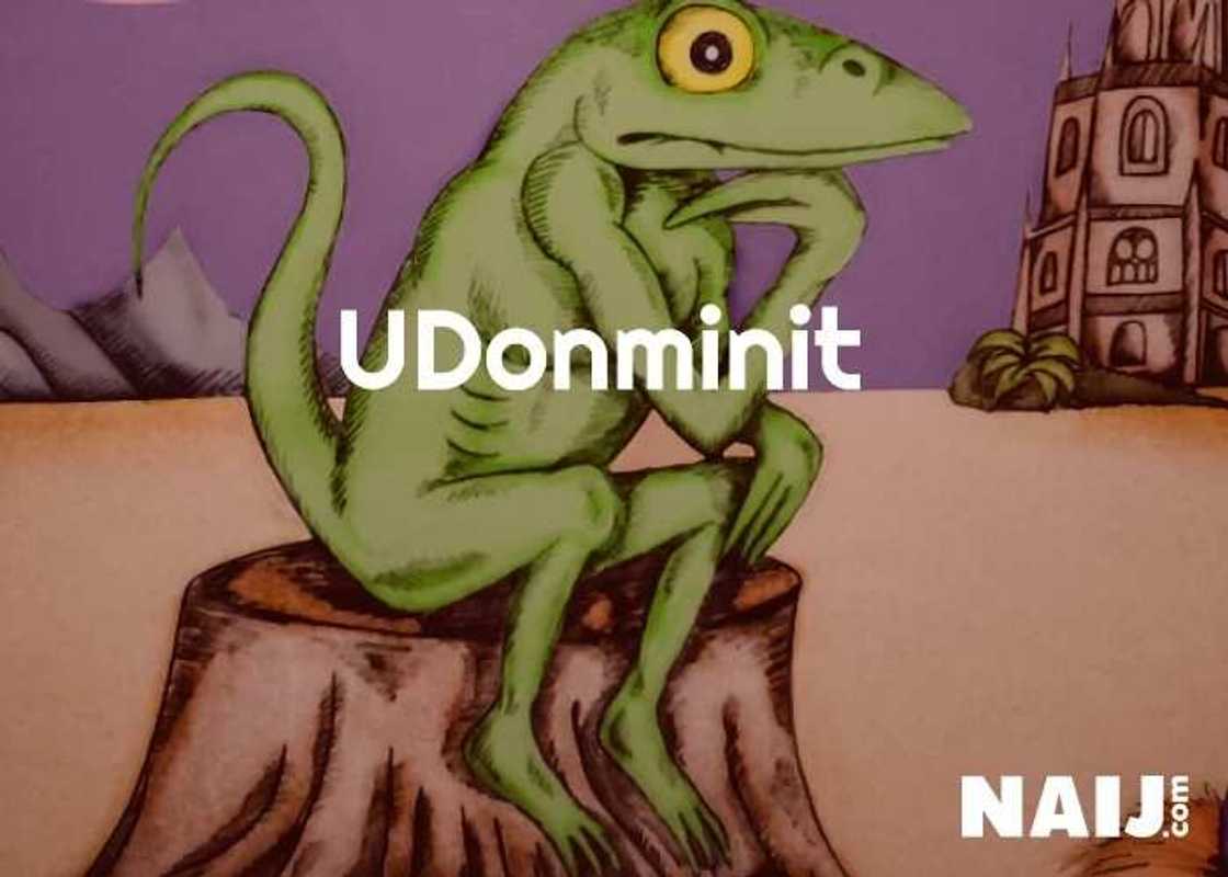 17 hilarious Nigerian pidgin proverbs and their meaning 17 hilarious Nigerian pidgin proverbs and their meaning