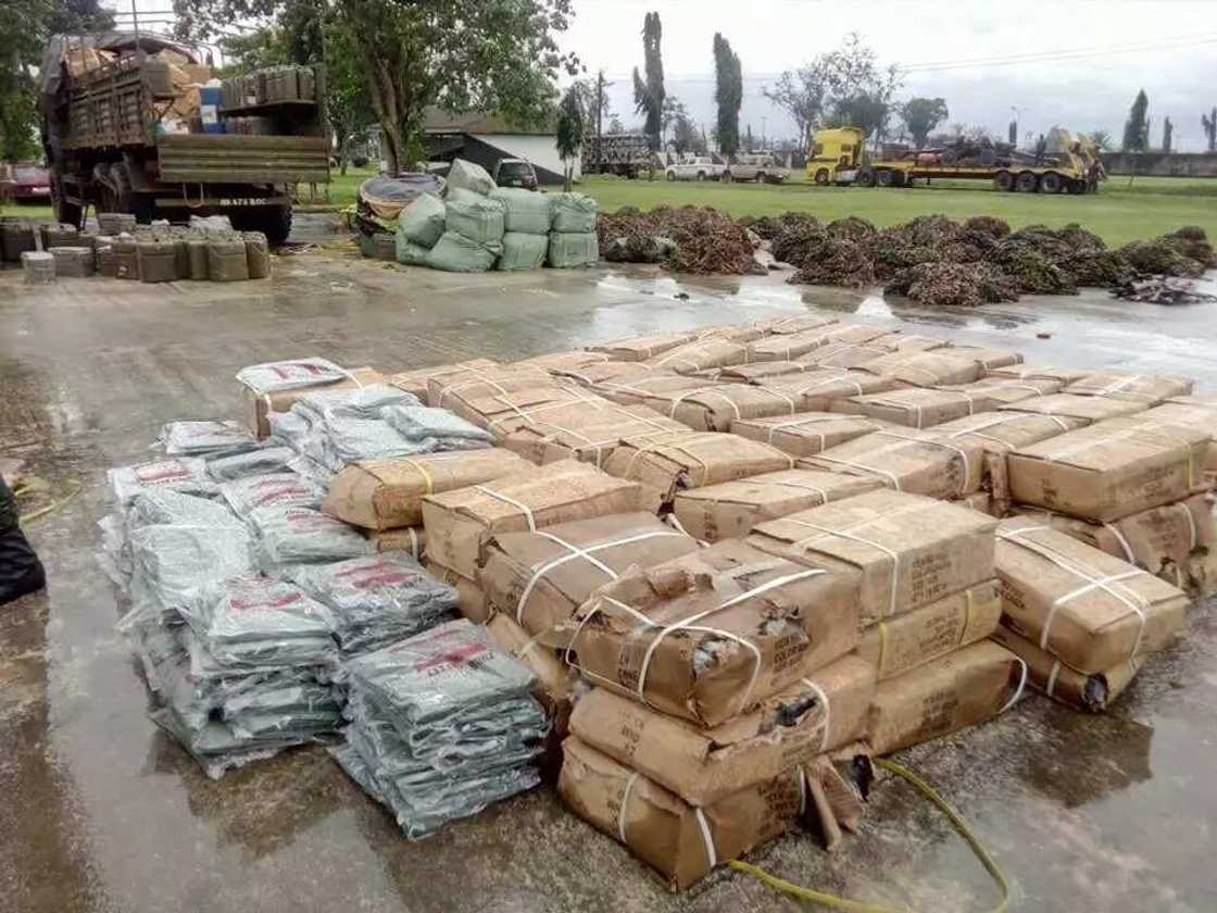 Exercise crocodile has this SECRET mission (photos) Exercise crocodile has this SECRET mission (photos)