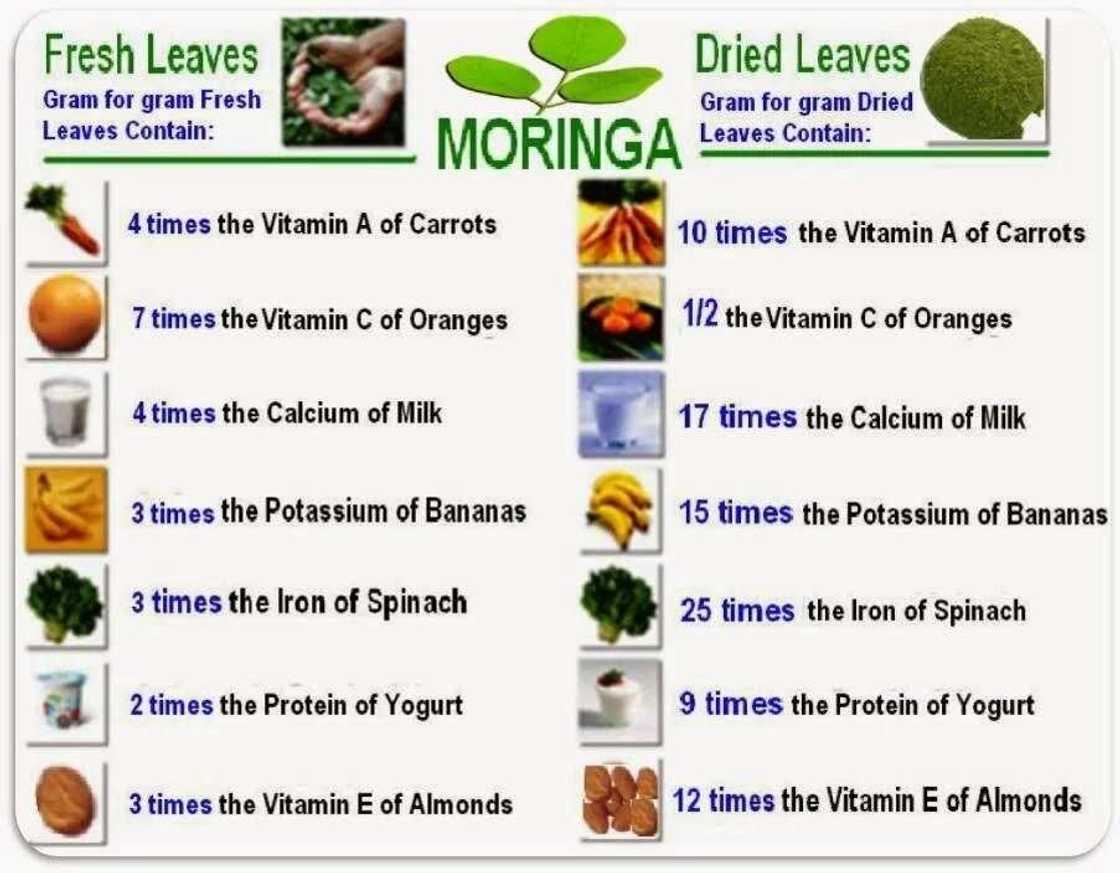 Moringa value Moringa value
