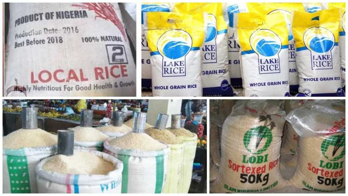 Good news NIGERIANS: Bag of rice to be sold at N10,000 from June Good news NIGERIANS: Bag of rice to be sold at N10,000 from June