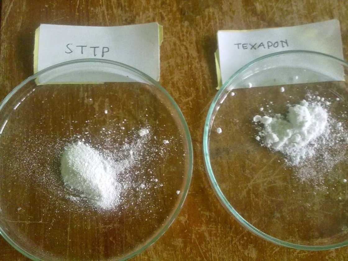 texapon and STTP texapon and STTP