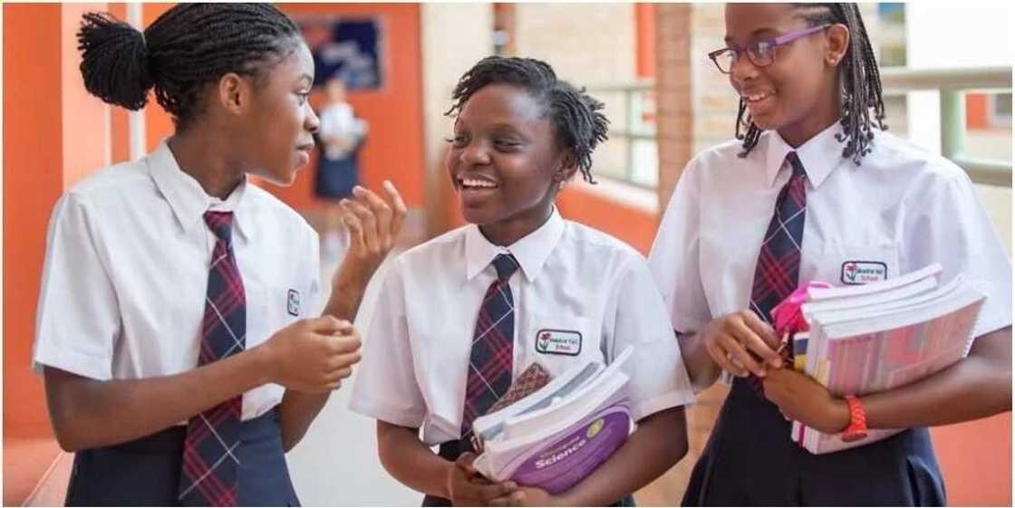 Meadow Hall school fees Meadow Hall school fees